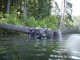 Thumbs/tn_Clear Lake 005.jpg